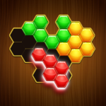 Hexa Shape Puzzle: Blocks Fill